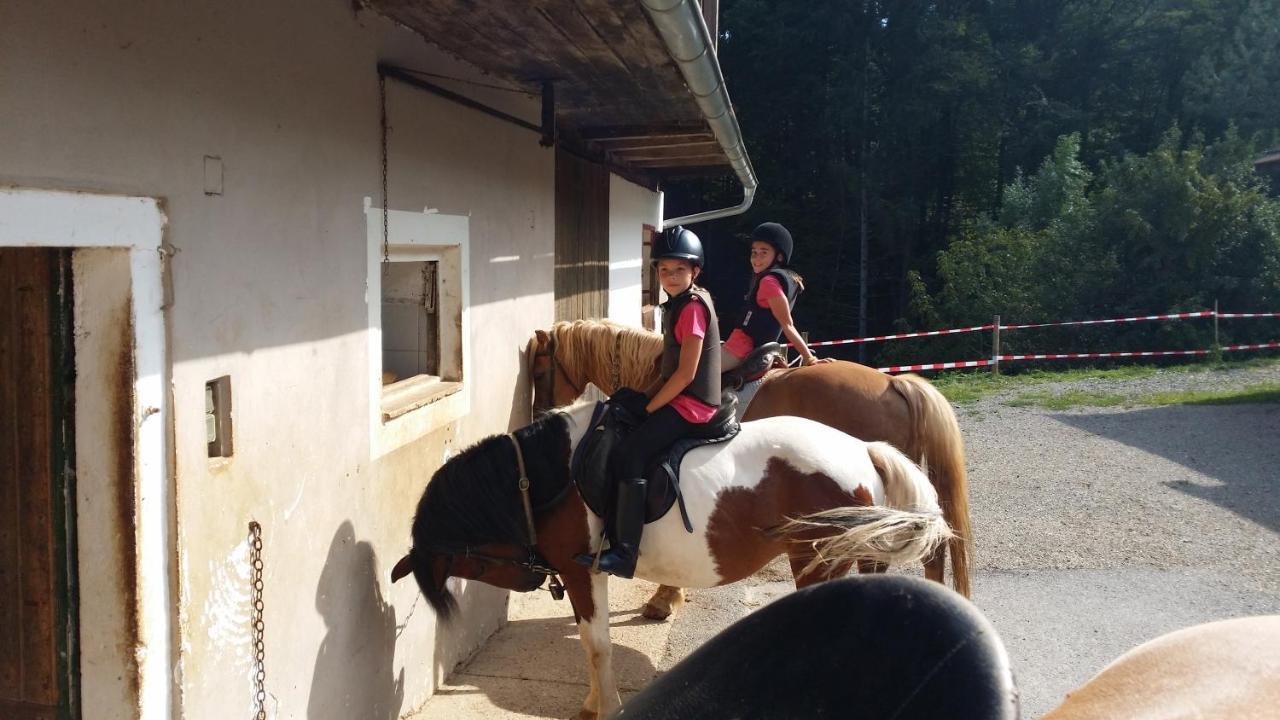 Ferienwohnung Moitz Heimschuh Zewnętrze zdjęcie